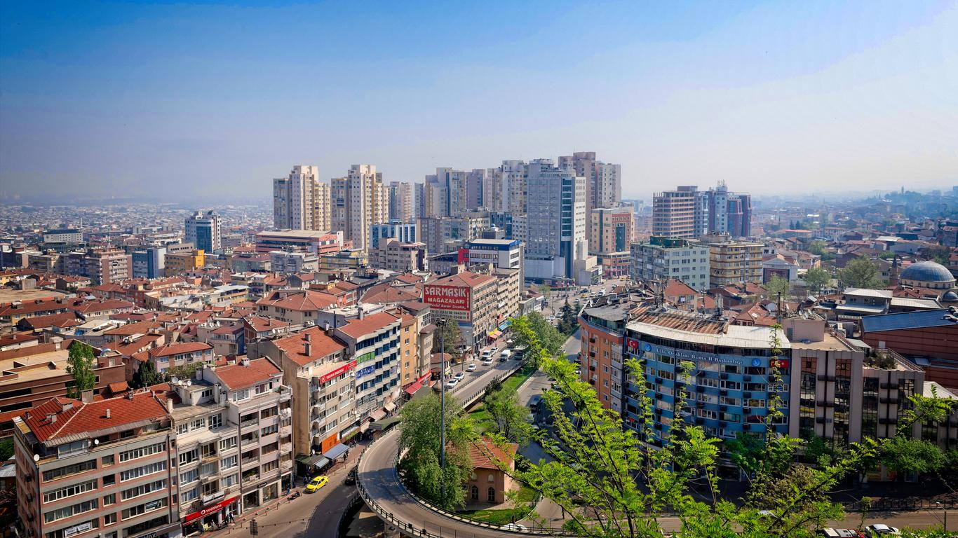 Bursa